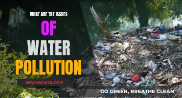 Unveiling the Hidden Dangers: Water Pollution's Impact on Our World