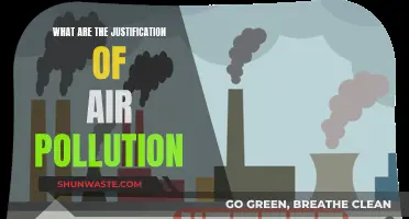 Air Pollution: Justifying the Injustifiable