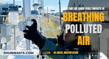 Breathing Polluted Air: A Global Health Crisis
