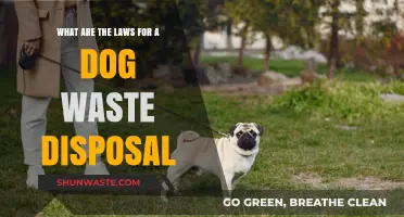 Decoding Dog Waste Disposal Laws: A Guide for Responsible Pet Owners