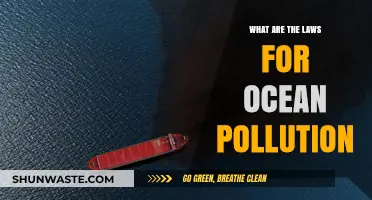 Combating Ocean Pollution: Understanding Legal Frameworks