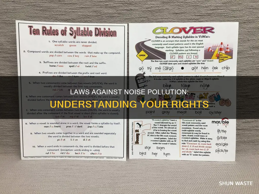 what are the laws regarding noise pollution