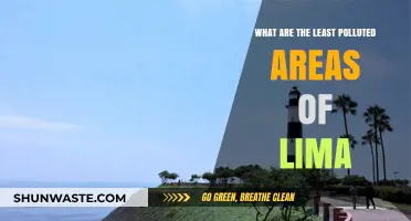 Lima's Cleanest Zones: Where to Breathe Easy