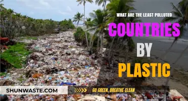 Plastic-Free Paradise: Countries with Pristine Environments