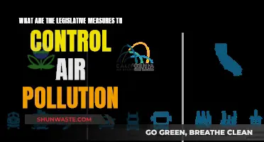 Legislative Steps to Curb Air Pollution