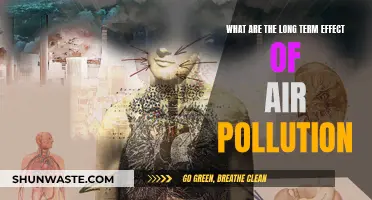 Air Pollution: Long-Term Effects on Our Health