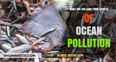 Ocean Pollution: Understanding the Devastating Long-Term Impact