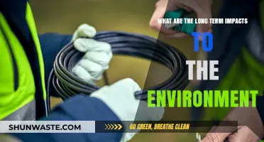 Environmental Consequences: Long-Term Impacts of Human Actions on Our Planet