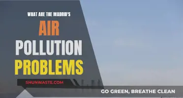 Madrid's Air Pollution Crisis: A City Choking