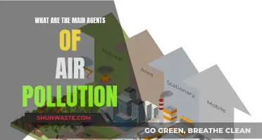 Air Pollution: The Main Culprits and Their Harmful Effects