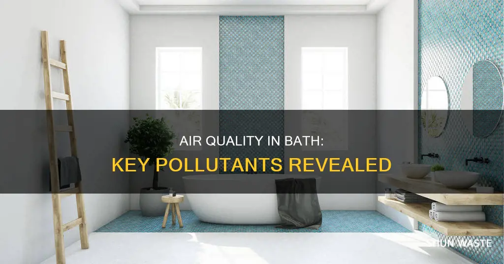 what are the main air pollutants in bath