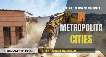 Air Quality Alert: Metropolitan Pollutants Revealed