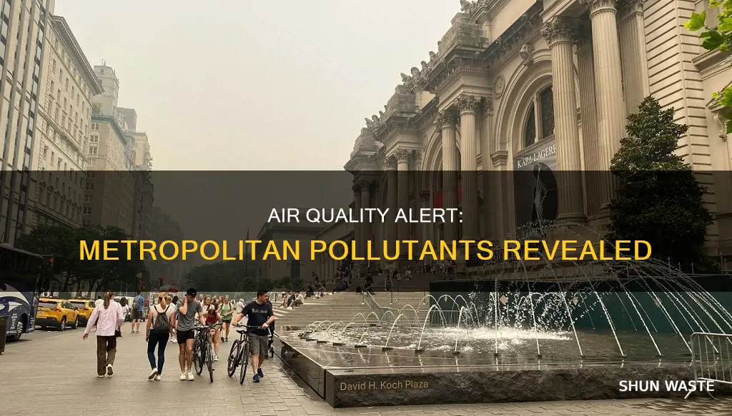 what are the main air pollutants in metropolitan cities