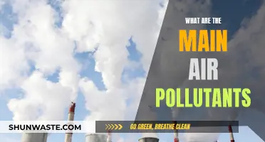 Air Pollutants: Understanding the Main Culprits Harming Our Air