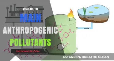 Human-Caused Pollutants: Understanding Our Impact