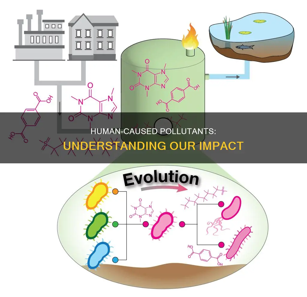 what are the main anthropogenic pollutants