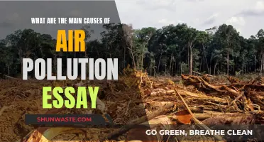 Air Pollution: Understanding the Main Causes