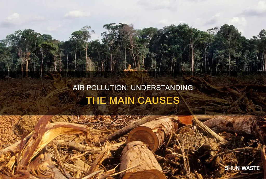 what are the main causes of air pollution essay