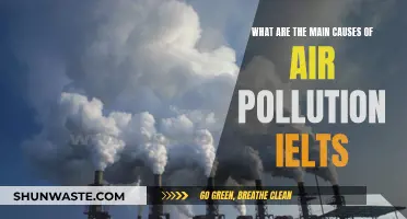 Unveiling the Sources: Understanding Air Pollution's Main Causes