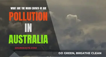 Unveiling Australia's Air Pollution Crisis: Sources and Solutions