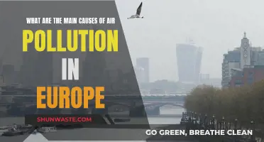 Unveiling Europe's Air Pollution: Sources and Solutions