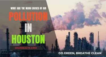 Unveiling Houston's Air Pollution: Sources and Solutions