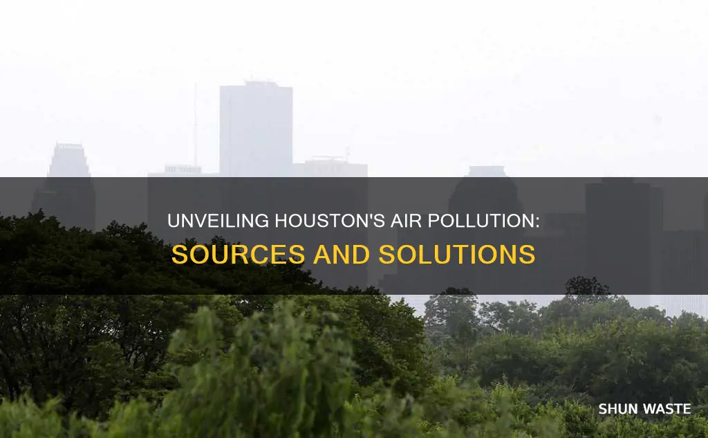 what are the main causes of air pollution in houston