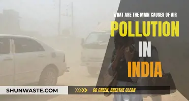 Air Pollution in India: Causes and Concerns