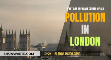London's Air Pollution: Main Culprits Revealed