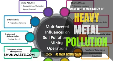 Unveiling the Sources: Understanding Heavy Metal Pollution