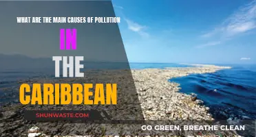 Caribbean's Hidden Crisis: Unveiling the Causes of Pollution