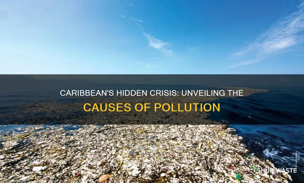 what are the main causes of pollution in the caribbean