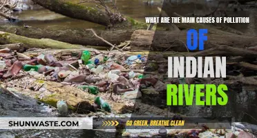 Unveiling India's River Pollution: Causes and Solutions