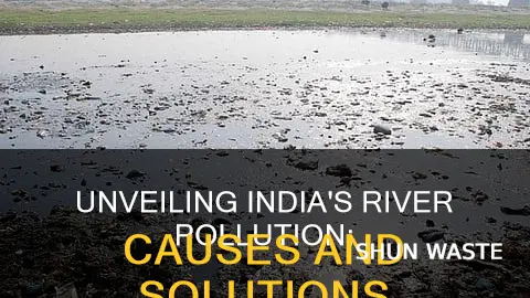 what are the main causes of pollution of indian rivers