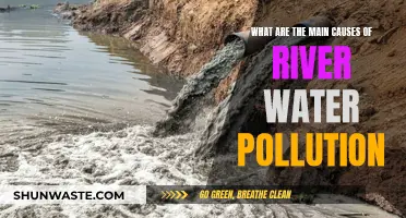 Unveiling the Hidden Causes: River Water Pollution Explained