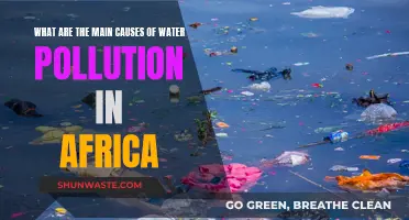 Unveiling Africa's Water Crisis: Uncovering the Main Causes of Pollution