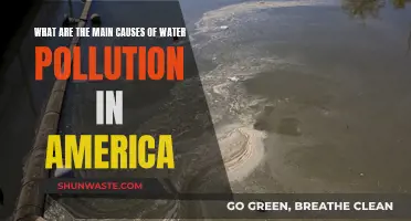 Unveiling America's Water Crisis: Uncovering the Top Pollutants