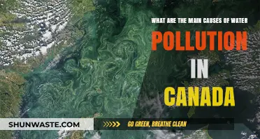 Canada's Water Woes: Unveiling the Top Pollutants