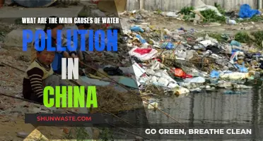 Unveiling China's Water Crisis: Sources of Pollution Revealed