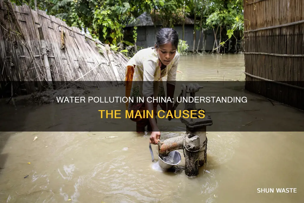 what are the main causes of water pollution in china