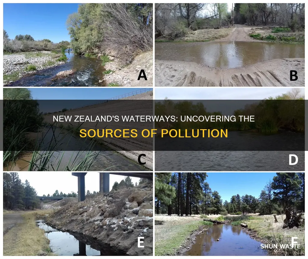 what are the main causes of waterway pollution in nz