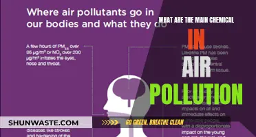 Air Pollution: Understanding Harmful Chemicals in the Air