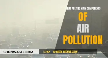 Air Pollution: Understanding Its Key Components