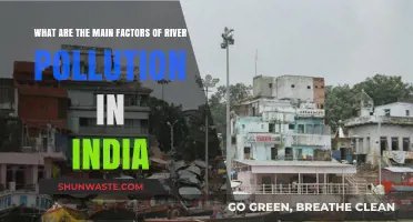 India's Rivers: Polluted by Industry and Agriculture