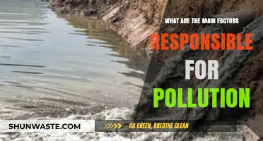 Understanding Pollution: Key Factors and Causes