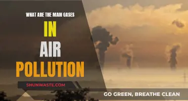 Air Pollution: Understanding the Main Gases in Our Air