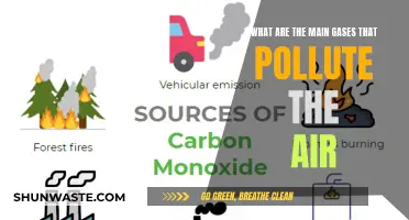 Air Pollutants: Understanding the Main Gases Harming Our Atmosphere
