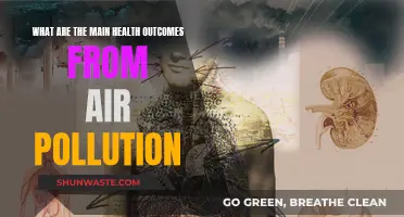 Air Pollution: Deadly Impact on Our Health