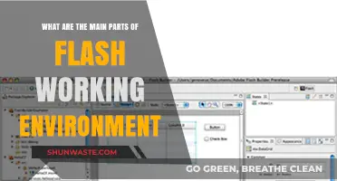 Exploring Adobe Flash: Key Components of Its Working Environment