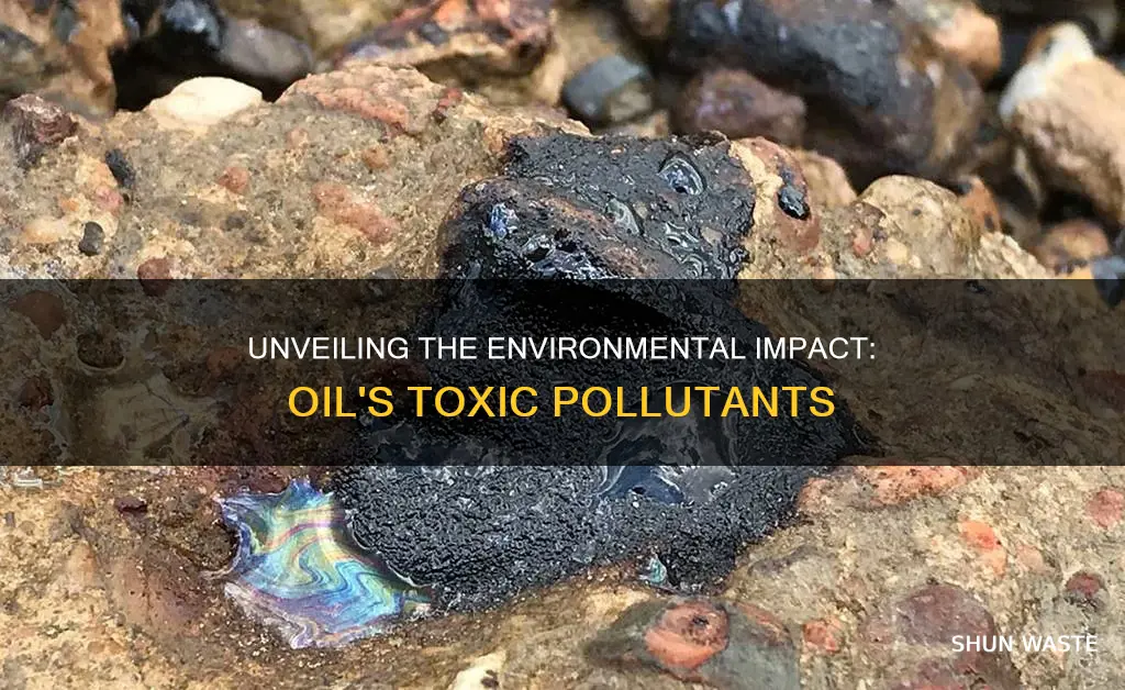 what are the main pollutants caused by oil